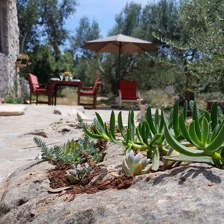 Holiday Home Strpuncina Luka (Dugi Otok) Exterior foto