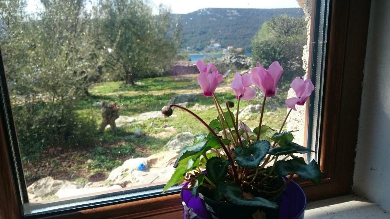 Holiday Home Strpuncina Luka (Dugi Otok) Exterior foto